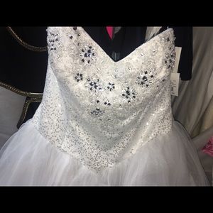 Never worn wedding gown!